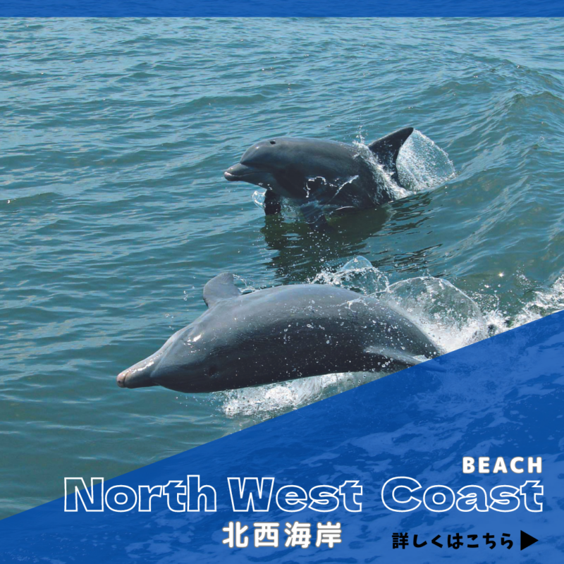 北西海岸バナー