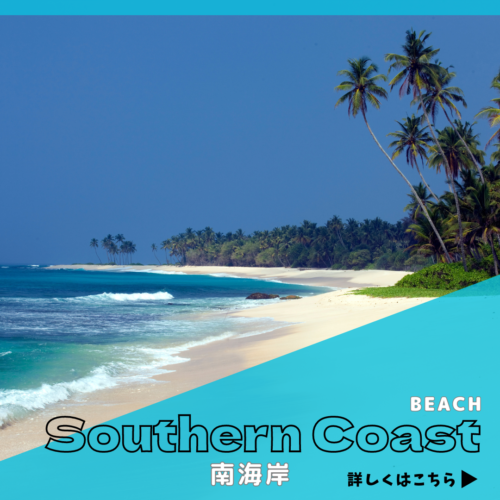 南海岸バナー