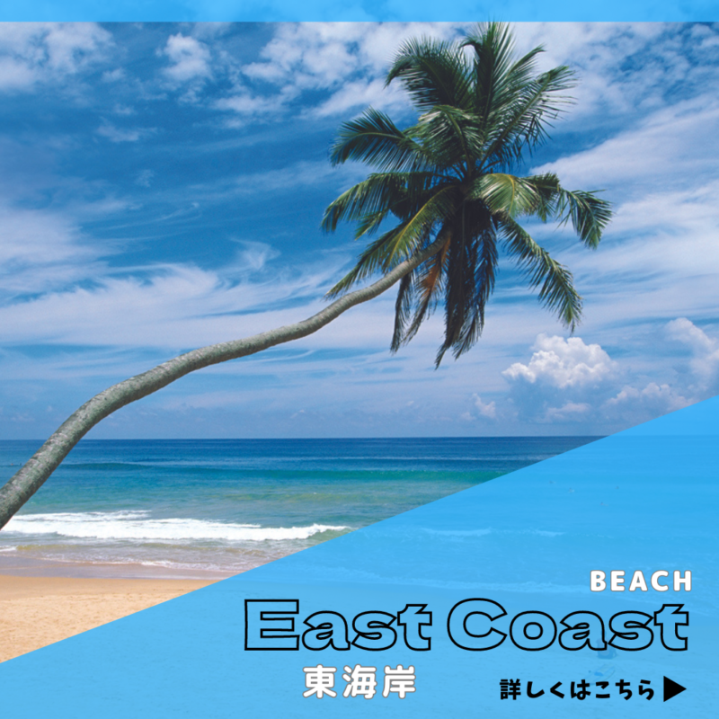 東海岸バナー