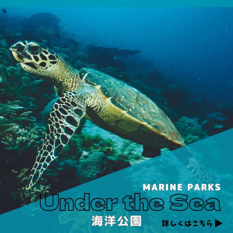 海洋公園バナー