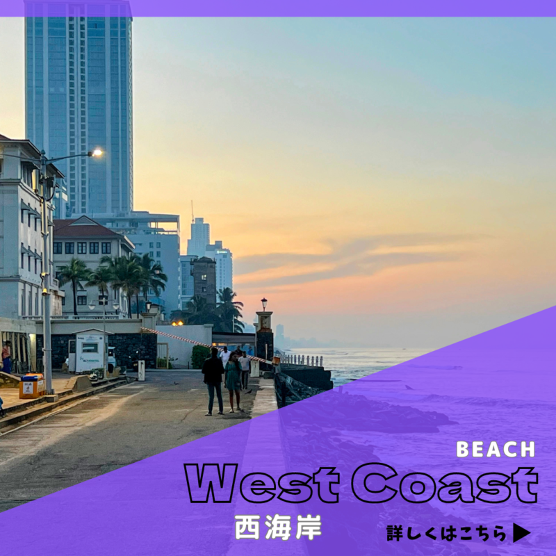 西海岸バナー
